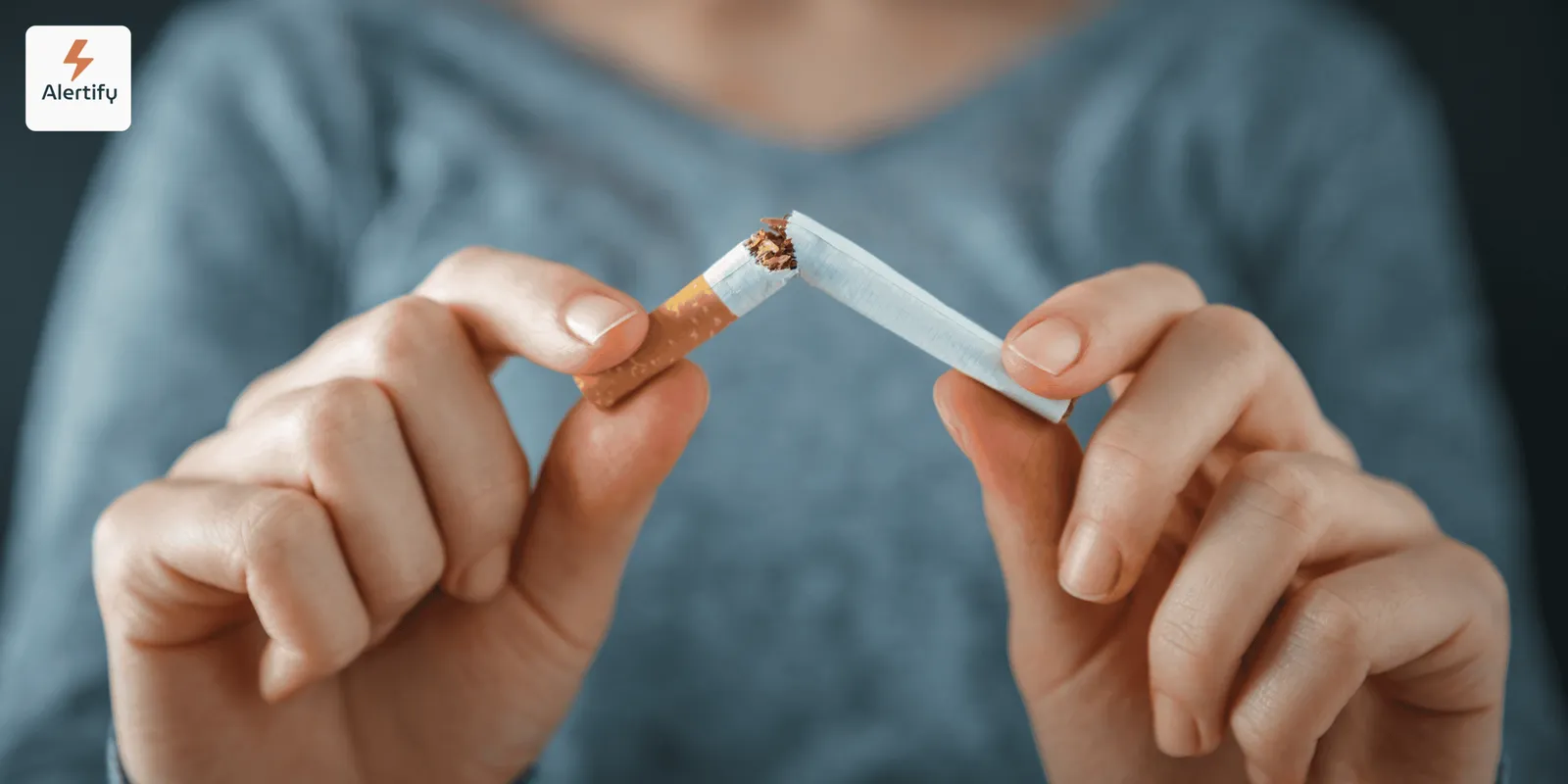 Cómo ganar una reclamación por daños de tabaco en Airbnb y una disputa de contracargo