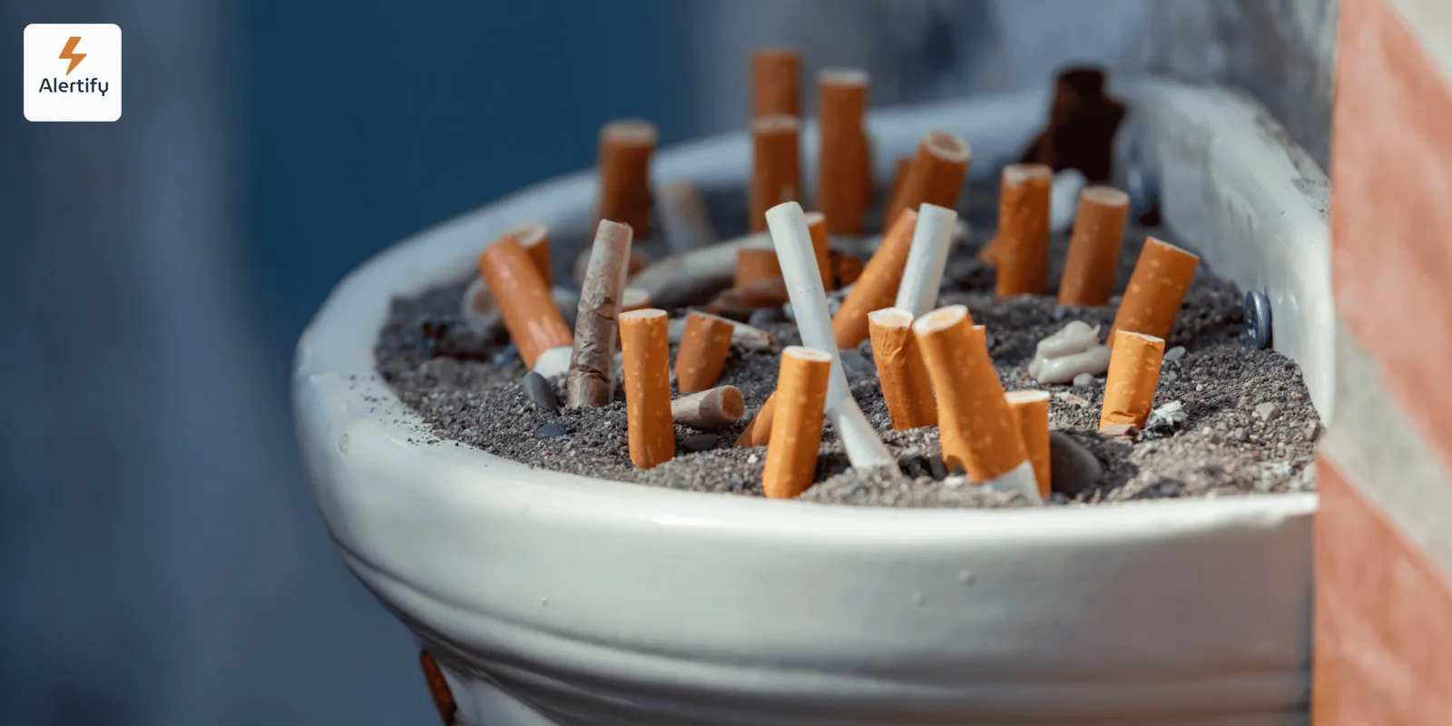 Aspectos legales del tabaco en alquileres vacacionales: derechos del anfitrión y protecciones del huésped