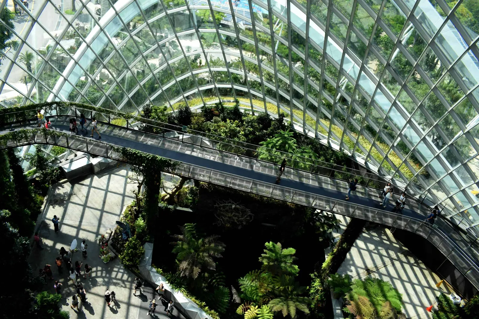 Por qué tu hotel necesita monitores de habitación para ser "verde"